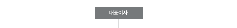 대표이사