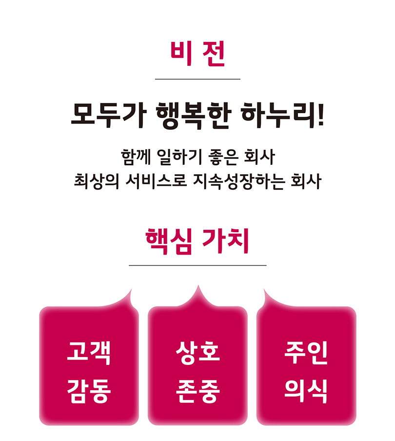 비전